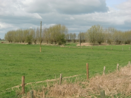 Kleve : NSG Salmorth